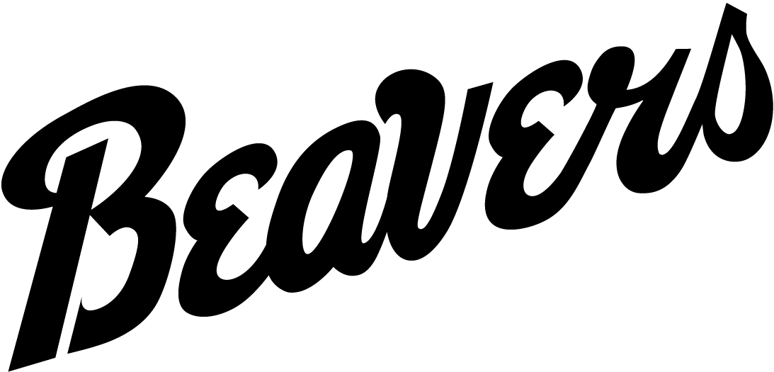 Bemidji State Beavers 2004-Pres Wordmark Logo v2 diy fabric transfer